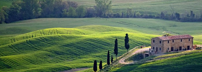 VIRGINIA CASA（ヴィルジニア カーサ） - 公式木楽館ブログ｜輸入家具