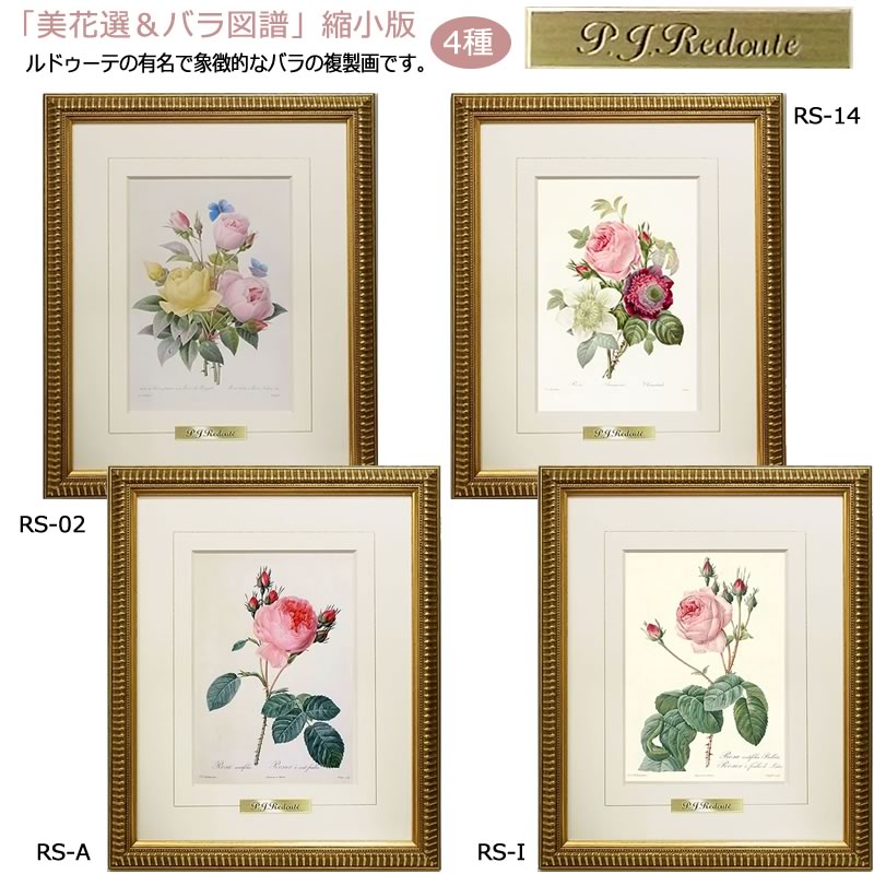 オンラインショップ 版画 絵画 ロサ トメントーサ ルドゥーテ ボタニカル 薔薇 バラ インテリア 壁掛け 額入り 額装込 風景画 油絵 ポスター  アート アートパネル リビング 玄関 プレゼント モダン アートフレーム おしゃれ 飾る Sサイズ